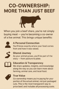 Beef Share Infographic